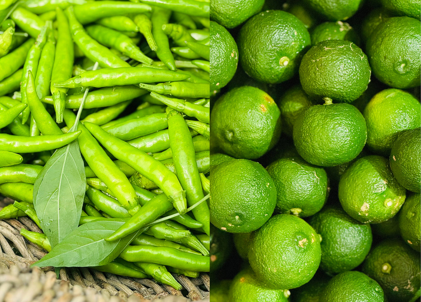 【2025年分は完売しました】YUZUGO AO